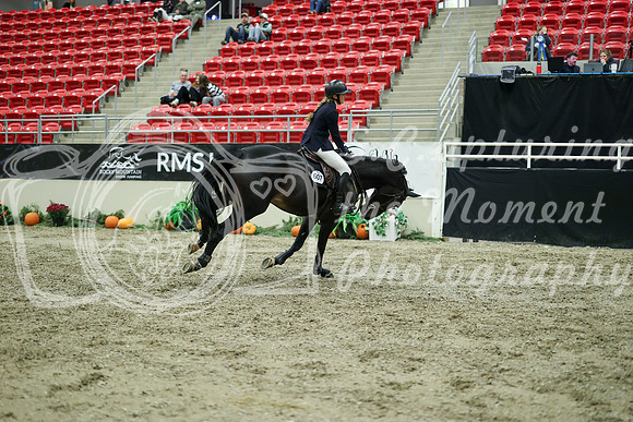 05566 - Mara - 2026 Royal West - Wednesday October 21st