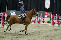 07010 - Mara - 2026 Royal West - Friday October 16th