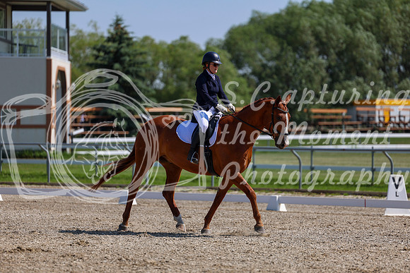 2025 - Dressage Festival - Saturday July 5th - 04768