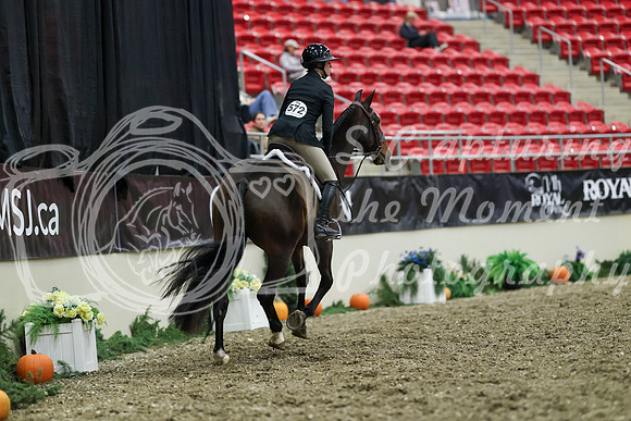 01024 - Mara - 2026 Royal West - Tuesday October 20th