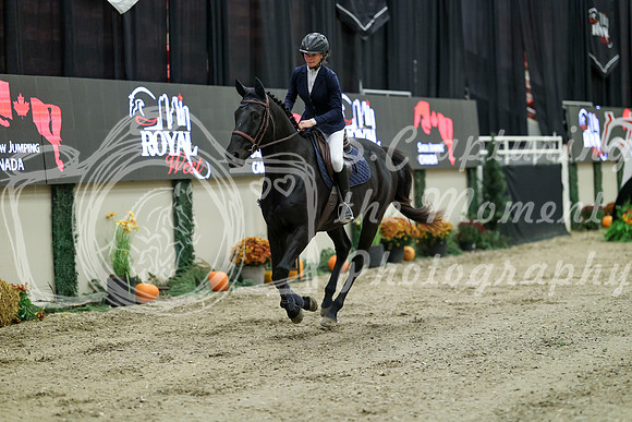 00202 - Mara - 2026 Royal West - Saturday October 2th