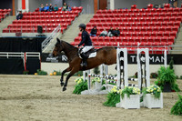 00668 - Mara - 2026 Royal West - Saturday October 2th