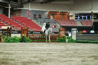 05522 - Mara - 2026 Royal West - Saturday October 17th