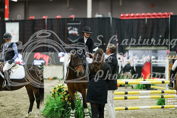 01930 - Mara - 2026 Royal West - Saturday October 2th