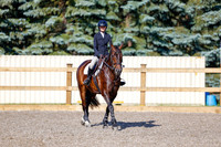 2025 - Haylee - Picco Horse Show - Thursday July 24th 00671