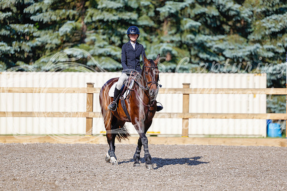 2025 - Haylee - Picco Horse Show - Thursday July 24th 00671