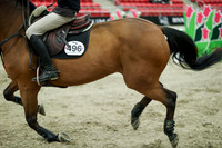 03919 - Mara - 2026 Royal West - Wednesday October 21st