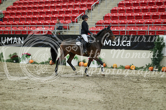 03026 - Mara - 2026 Royal West - Thursday October 22nd