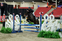 00430 - Mara - 2026 Royal West - Saturday October 2th