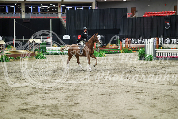04041 - Mara - 2026 Royal West - Tuesday October 20th