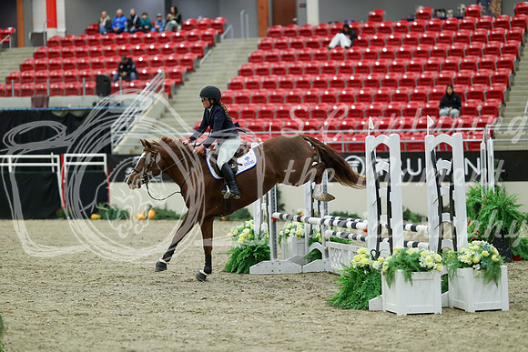 00008 - Mara - 2026 Royal West - Saturday October 2th