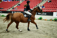 04196 - Mara - 2026 Royal West - Wednesday October 21st