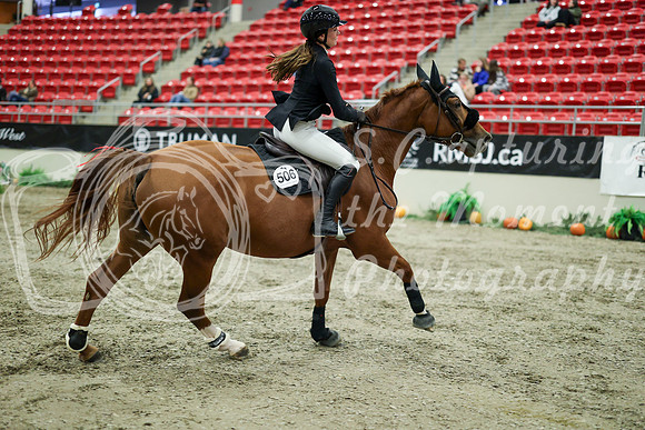 04196 - Mara - 2026 Royal West - Wednesday October 21st