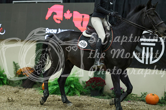 06447 - Mara - 2026 Royal West - Thursday October 15th