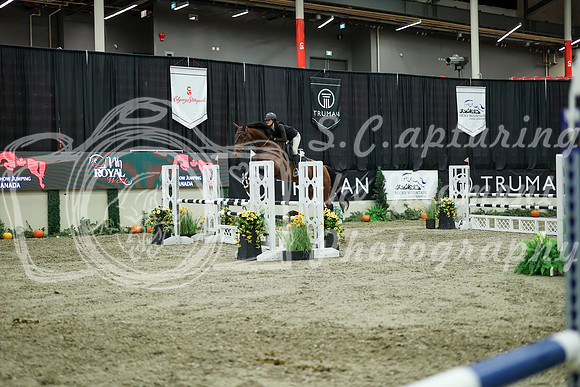 05308 - Mara - 2026 Royal West - Wednesday October 21st