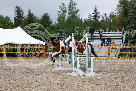 2025 - Haylee - Picco Horse Show - Sunday July 27th 01453