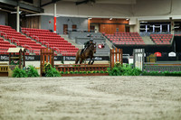 01542 - Mara - 2026 Royal West - Saturday October 17th