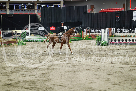 04044 - Mara - 2026 Royal West - Tuesday October 20th