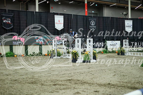 03547 - Mara - 2026 Royal West - Wednesday October 21st