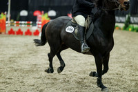 06382 - Mara - 2026 Royal West - Thursday October 15th