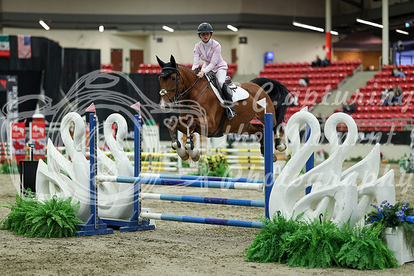 01258 - Mara - 2026 Royal West - Saturday October 2th