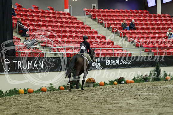 02355 - Mara - 2026 Royal West - Saturday October 17th
