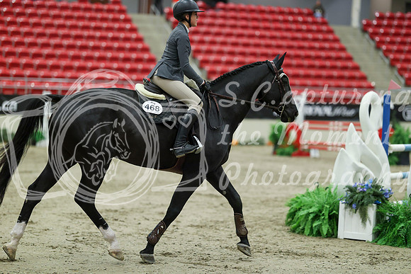 04528 - Mara - 2026 Royal West - Saturday October 24th