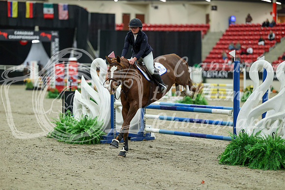 00019 - Mara - 2026 Royal West - Saturday October 2th