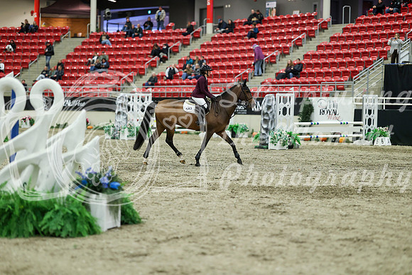 01355 - Mara - 2026 Royal West - Saturday October 2th