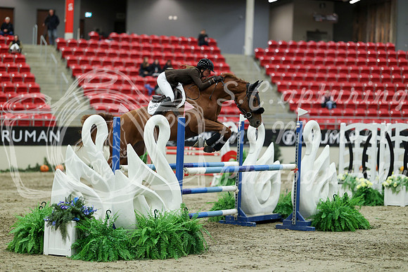 05609 - Mara - 2026 Royal West - Saturday October 24th