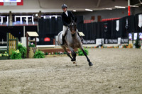00155 - Mara - 2026 Royal West - Tuesday October 20th