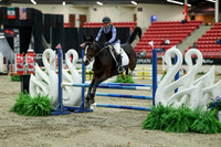 00919 - Mara - 2026 Royal West - Saturday October 2th
