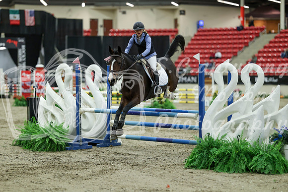 00919 - Mara - 2026 Royal West - Saturday October 2th