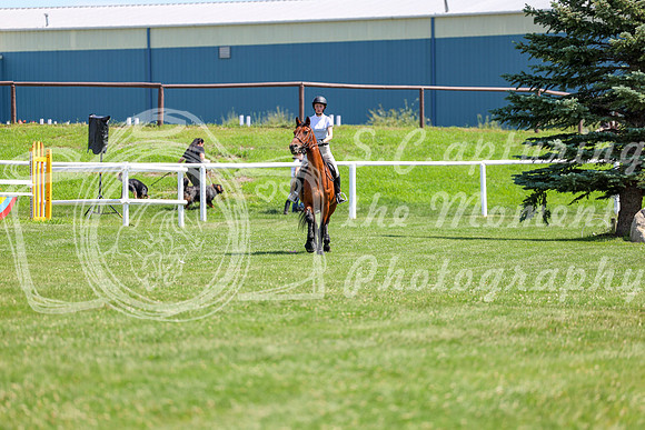 2025 - Shea - Teesdale - Thursday July 24th - 01624