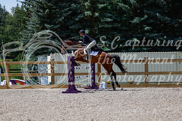 2025 - Haylee - Picco Horse Show - Thursday July 24th 03498
