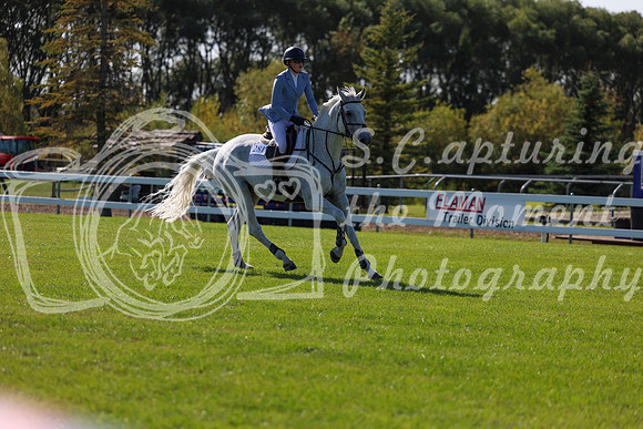 12326 - Shea - 2026 Harvest - Saturday September 19th