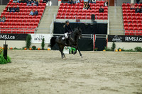 05009 - Mara - 2026 Royal West - Saturday October 24th