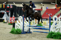 00368 - Mara - 2026 Royal West - Saturday October 2th