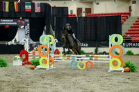 01098 - Mara - 2026 Royal West - Thursday October 15th