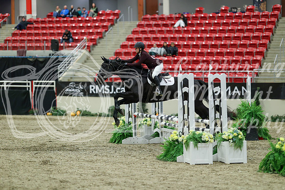 00485 - Mara - 2026 Royal West - Saturday October 2th