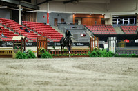01290 - Mara - 2026 Royal West - Saturday October 17th