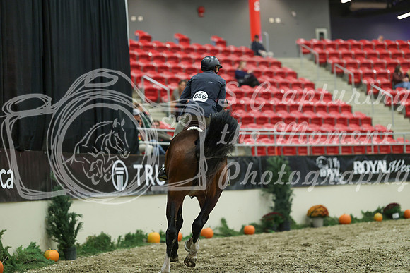 05302 - Mara - 2026 Royal West - Saturday October 17th