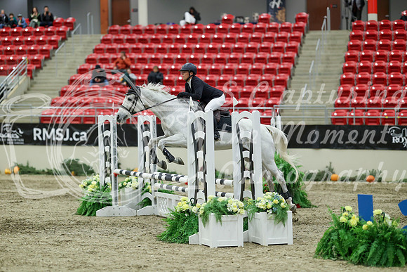 01304 - Mara - 2026 Royal West - Saturday October 2th