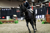 01421 - Mara - 2026 Royal West - Tuesday October 20th