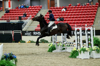 00359 - Mara - 2026 Royal West - Saturday October 2th