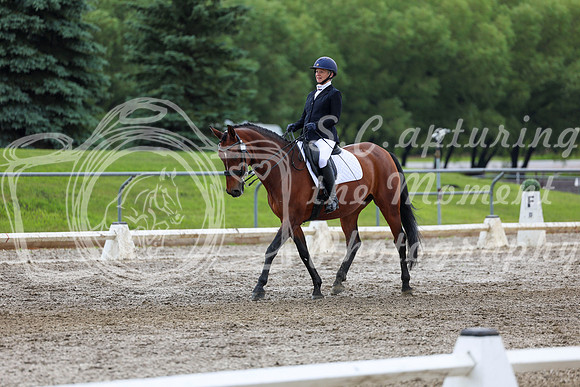 2025 - Dressage Festival - Sunday July 6th - 13165