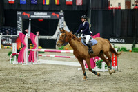 01595 - Mara - 2026 Royal West - Sunday October 18th