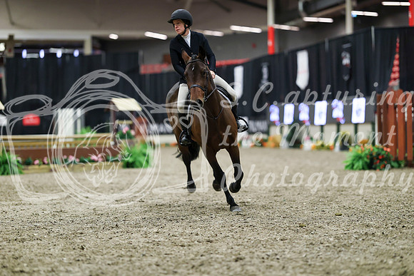 01312 - Mara - 2026 Royal West - Tuesday October 20th