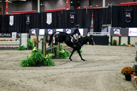 03798 - Mara - 2026 Royal West - Tuesday October 20th