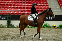 01344 - Mara - 2026 Royal West - Thursday October 15th